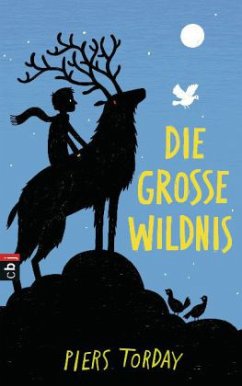 Die Große Wildnis / Kester Bd.1 - Torday, Piers