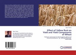 Effect of Yellow Rust on Yield and Yield Components of Wheat - Karkee, Ajaya
