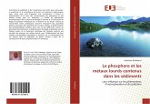 Le phosphore et les métaux lourds contenus dans les sédiments