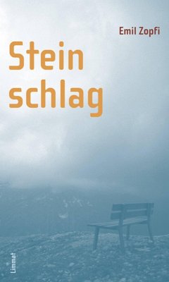 Cover Steinschlag (eBook, ePUB)
