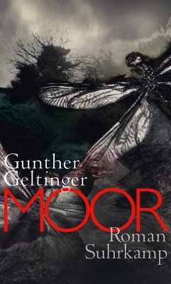 Moor (eBook, ePUB) - Geltinger, Gunther
