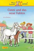 Conni und das neue Fohlen / Conni Erzählbände Bd.22 (eBook, ePUB)