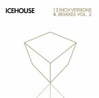 12 Inch Versions & Remixes-Vol.2