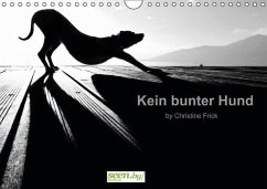 Kein bunter Hund (Wandkalender immerwährend DIN A4 quer) - Frick, Christine