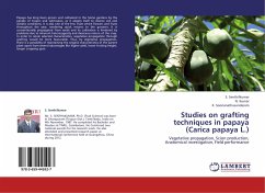 Studies on grafting techniques in papaya (Carica papaya L.) - Senthilkumar, S.;Kumar, N.;Soorianathasundaram, K.