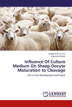 Influence Of Culture Medium On Sheep Oocyte Maturation to Cleavage