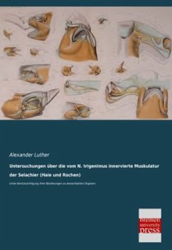 Untersuchungen über die vom N. trigenimus innervierte Muskulatur der Selachier (Haie und Rochen) - Luther, Alexander
