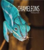 Chameleons