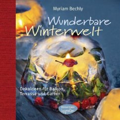 Wunderbare Winterwelt - Bechly, Myriam