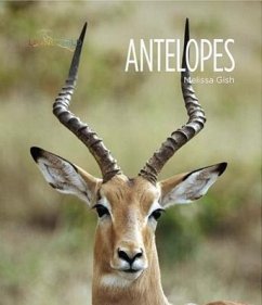 Antelopes - Gish, Melissa