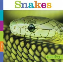 Snakes - Riggs, Kate