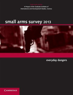 Small Arms Survey 2013