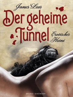 Der geheime Tunnel (eBook, ePUB) - Lear, James