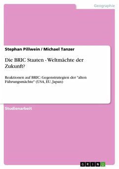 Die BRIC Staaten - Weltmächte der Zukunft? (eBook, ePUB) - Pillwein, Stephan; Tanzer, Michael