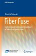 Fiber Fuse - Bild 1