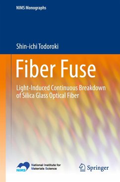 Fiber Fuse - Todoroki, Shin-ichi