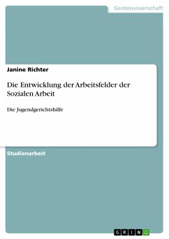 Die Entwicklung der Arbeitsfelder der Sozialen Arbeit (eBook, PDF) - Richter, Janine
