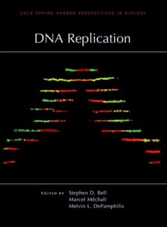 DNA Replication - Mechali, Marcel (Institute of Human Genetics, CNRS); Depamphilis, Melvin L (National Institutes of Health)