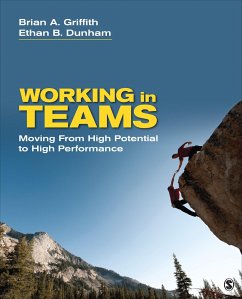 Cover Working in Teams