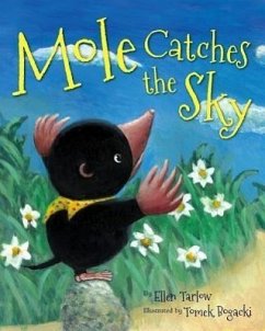 Mole Catches the Sky - Tarlow, Ellen