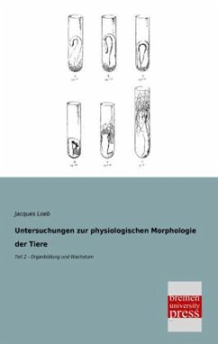 Untersuchungen zur physiologischen Morphologie der Tiere - Loeb, Jacques