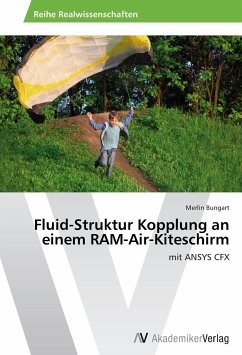 Fluid-Struktur Kopplung an einem RAM-Air-Kiteschirm - Bungart, Merlin
