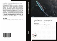 Prévalence en Campylobacter des carcasses de porcs à l'abattoir - Lebigre, Marie
