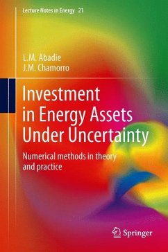 Investment in Energy Assets Under Uncertainty - Abadie, Luis M.;Chamorro, José M.