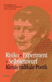 Risiko - Experiment - Selbstentwurf (eBook, PDF)