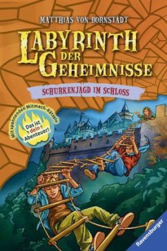 Schurkenjagd im Schloss / Labyrinth der Geheimnisse Bd.5 - Bornstädt, Matthias von