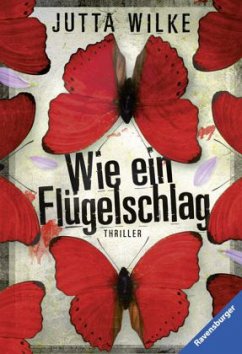 Wie ein Flügelschlag - Wilke, Jutta