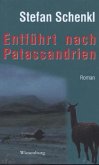 Entführt nach Patassandrien