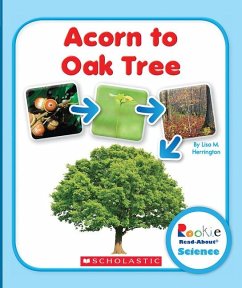 Acorn to Oak Tree (Rookie Read-About Science: Life Cycles) - Herrington, Lisa M