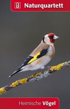 Heimische Vögel (Kartenspiel)