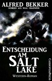 Entscheidung am Salt Lake (eBook, ePUB)