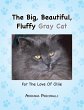 The Big, Beautiful, Fluffy Gray Cat - Bild 1