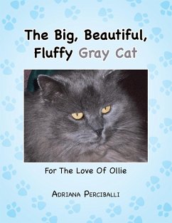 The Big, Beautiful, Fluffy Gray Cat