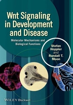 Wnt Signaling in Development and Disease - Hoppler, Stefan P.; Moon, Randall T.