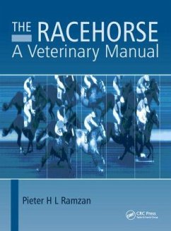 The Racehorse - Ramzan, Pieter