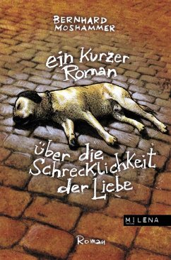 Cover Ein kurzer Roman über die Schrecklichkeit der Liebe (eBook, ePUB)