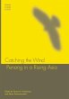 Catching the Wind - Bild 1