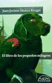 El libro de los pequeños milagros