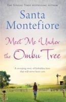 Meet Me Under the Ombu Tree - Montefiore, Santa