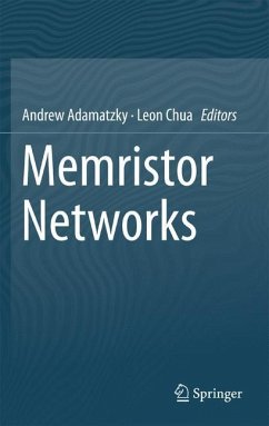 Memristor Networks