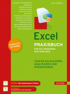 Excel Praxisbuch für die Versionen 2010 und 2013 - Schels, Ignatz