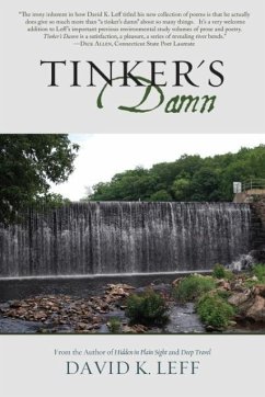 Tinker's Damn - Leff, David K.