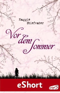 Vor dem Sommer (eBook, ePUB) - Stiefvater, Maggie