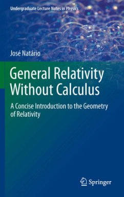 General Relativity Without Calculus - Natario, Jose