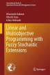 Linear and Multiobjective Programming... - Bild 1