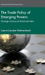The Trade Policy of Emerging Powers - Bild 1